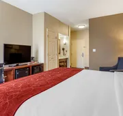 Comfort Suites Cordova hotel detail image 7