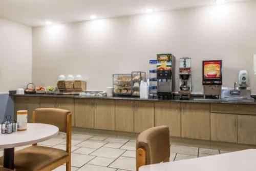 Microtel Inn & Suites By Wyndham Kansas City Airport hotel detail image 6