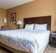 Best Western Plus South Edmonton Inn & Suites hotel detail image 3