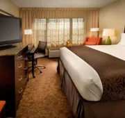 DoubleTree by Hilton Sterling - Dulles Airport hotel detail image 7