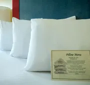 Plaza Inn & Suites at Ashland Creek hotel detail image 7