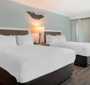 Dolphin Sands Clearwater Beach, an Ascend Collection Hotel hotel detail image 5