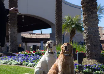 Fairmont Scottsdale Princess hotel thumbnail 2