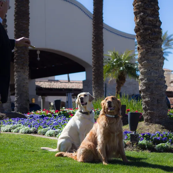 Fairmont Scottsdale Princess hotel detail image 2