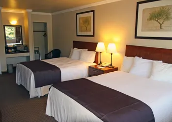 Travelodge by Wyndham Vancouver Lions Gate hotel thumbnail 3