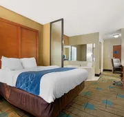 Comfort Suites near MCAS Beaufort hotel detail image 7