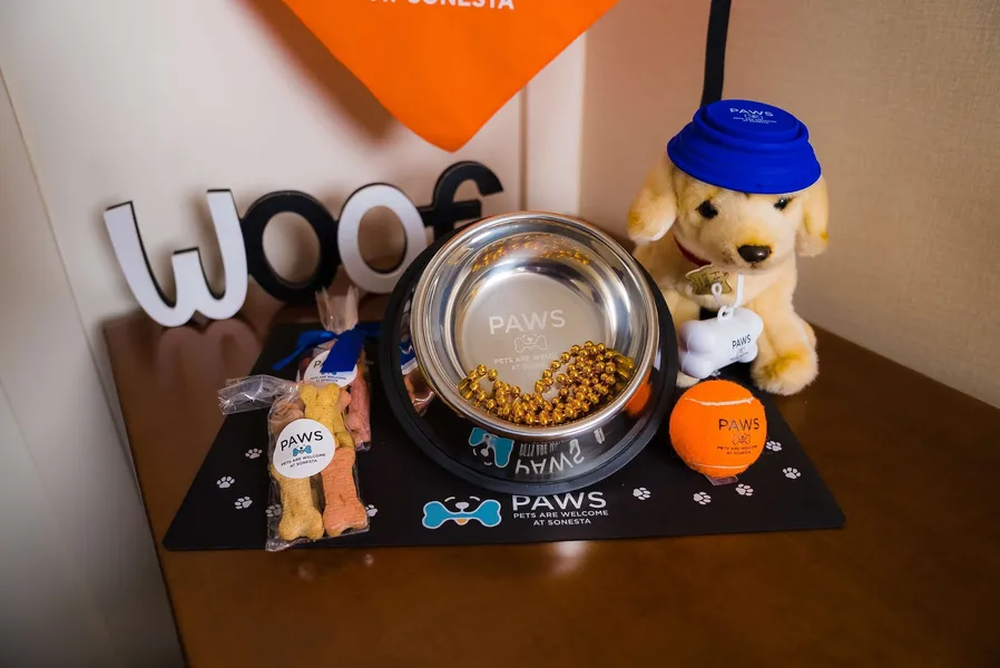 Sonesta Simply Suites Dallas Las Colinas hotel detail image 2