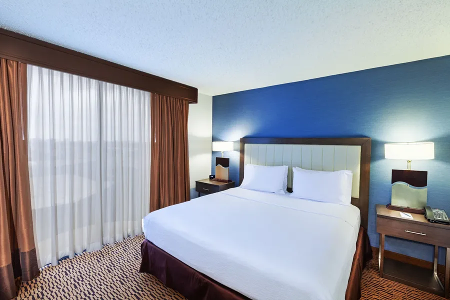 Embassy Suites by Hilton Dallas Market Center hotel detail image 6