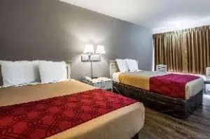 Econo Lodge Airport I-35 North hotel thumbnail 5