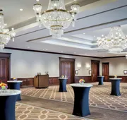 Sheraton DFW Airport Hotel hotel detail image 3
