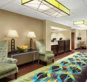 Hampton Inn Dallas-Irving-Las Colinas hotel detail image 3