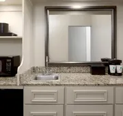 Embassy Suites by Hilton Tampa Airport Westshore hotel detail image 7