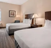 Best Western Tampa hotel detail image 3