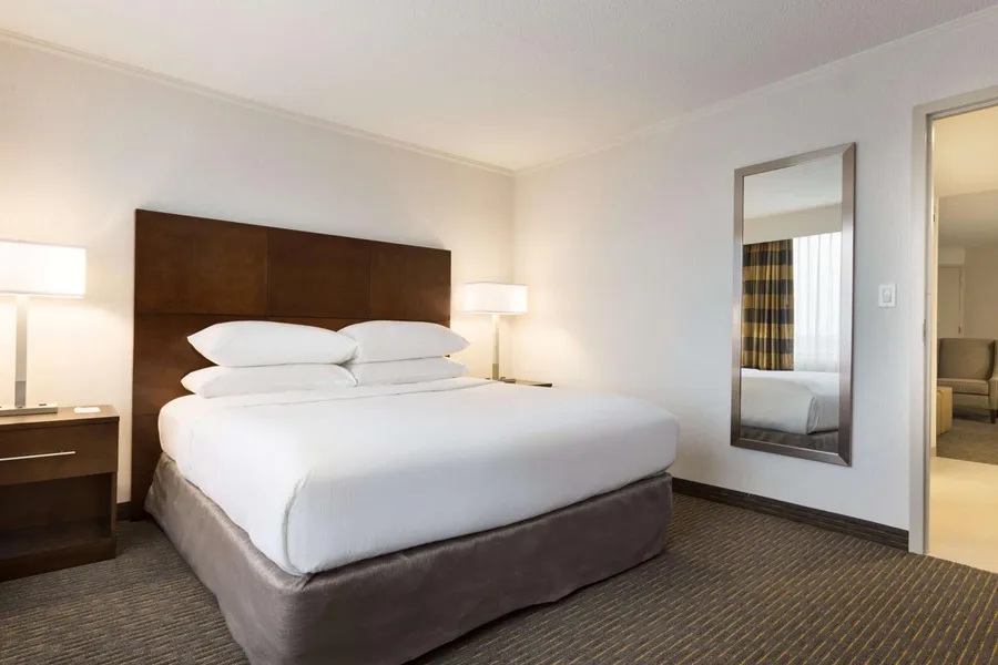 Embassy Suites by Hilton Baltimore at BWI Airport hotel detail image 6