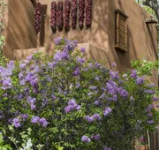 Inn on the Alameda hotel detail image 7