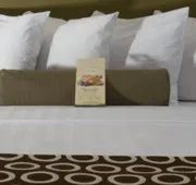 Best Western Premier The Central Hotel & Conference Center hotel detail image 3