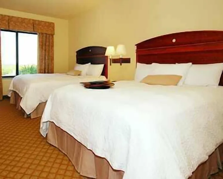 Hampton Inn & Suites Pharr hotel detail image 6