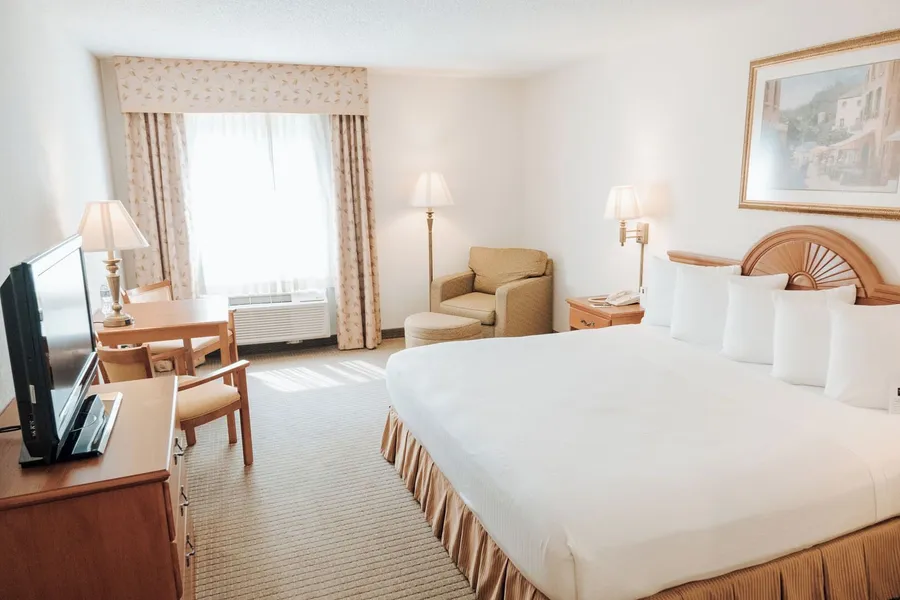 Ann Arbor Regent Hotel & Suites hotel detail image 6