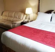 Econo Lodge City Centre hotel detail image 7