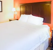 Hampton Inn Richmond-Mechanicsville hotel detail image 7
