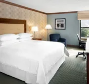 Four Points by Sheraton Richmond Airport hotel detail image 5