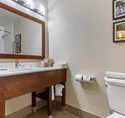 Comfort Inn University hotel detail image 3