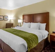 Comfort Inn & Suites North Aurora - Naperville hotel detail image 5