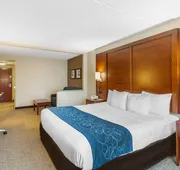 Comfort Suites Manassas Battlefield Park hotel detail image 7