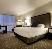Hyatt Regency Birmingham-The Wynfrey Hotel hotel detail image 7