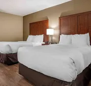Comfort Inn Birmingham Homewood hotel detail image 7