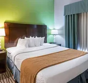 Quality Suites hotel detail image 3