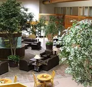 C'mon Inn Thief River Falls hotel detail image 5