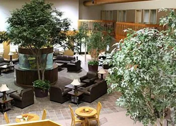 C'mon Inn Thief River Falls hotel thumbnail 5