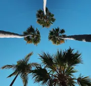 Le Petit Pali Laguna Beach hotel detail image 5