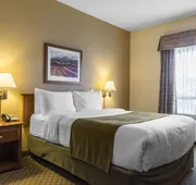 Quality Inn Airport hotel detail image 5