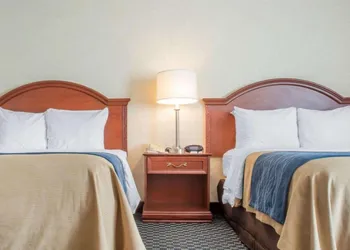 Comfort Inn West Rochester hotel thumbnail 3