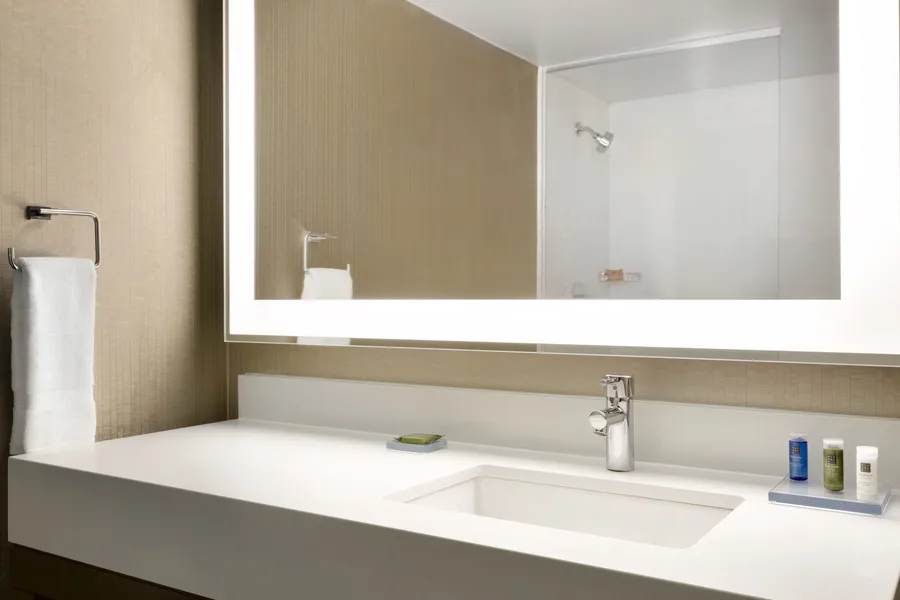 Skyline Hotel Detroit Airport, SureStay Collection by BW hotel detail image 2