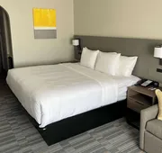 Comfort Inn & Suites hotel detail image 4