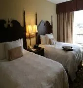Hampton Inn & Suites Del Rio hotel thumbnail 6