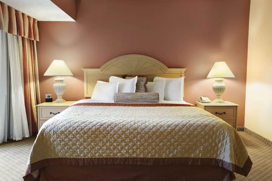 Wyndham El Paso Airport Hotel & Waterpark hotel detail image 6