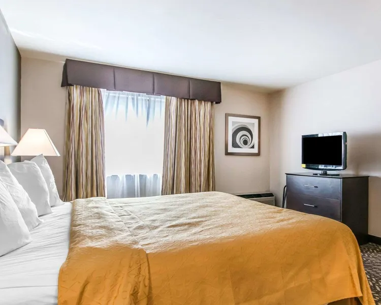 Quality Inn & Suites University/Airport hotel detail image 6
