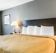 Quality Inn & Suites University/Airport hotel detail image 7