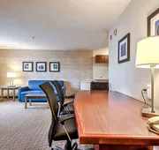 Comfort Inn And Suites South hotel detail image 3