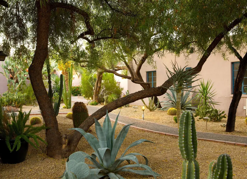 Lodge on the Desert hotel detail image 6