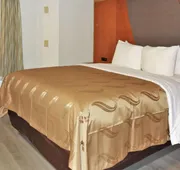 Quality Inn & Suites Raleigh North hotel detail image 3