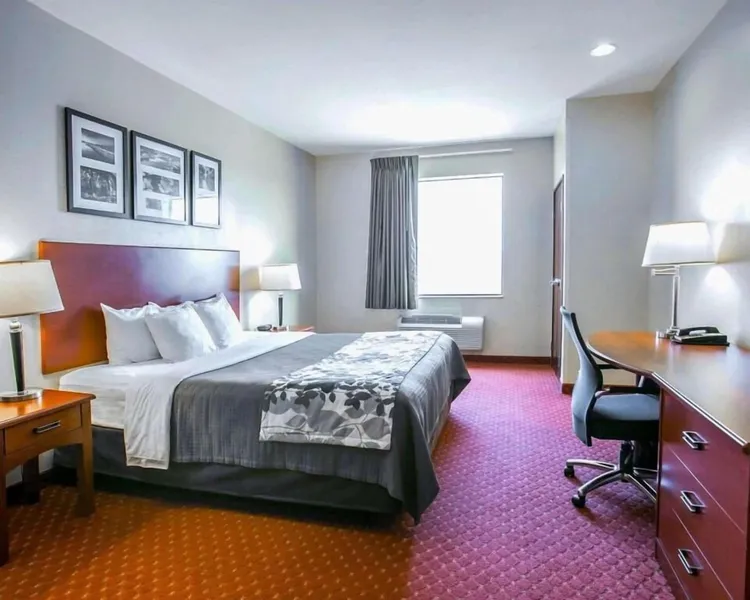Sleep Inn & Suites New Braunfels hotel detail image 2