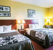 Sleep Inn & Suites New Braunfels hotel detail image 5