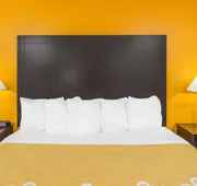 Days Inn by Wyndham Calvert City/Paducah East hotel detail image 4