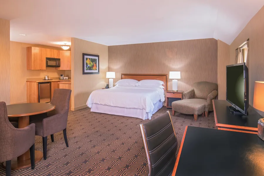 Sheraton Springfield Monarch Place Hotel hotel detail image 6