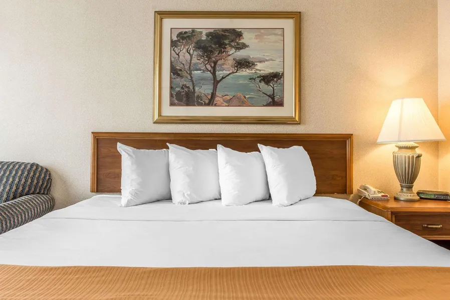 Quality Inn & Conference Center hotel detail image 2